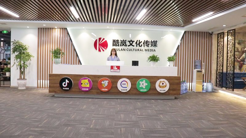 山东文化发展有限公司