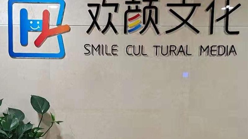 企业宣传片制作安装服务：揭秘背后的技术与艺术**